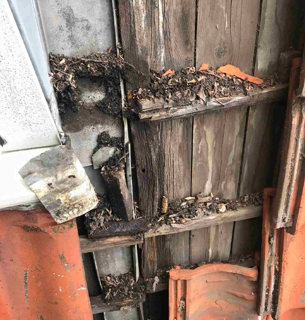 Lekkage pannendak verhelpen