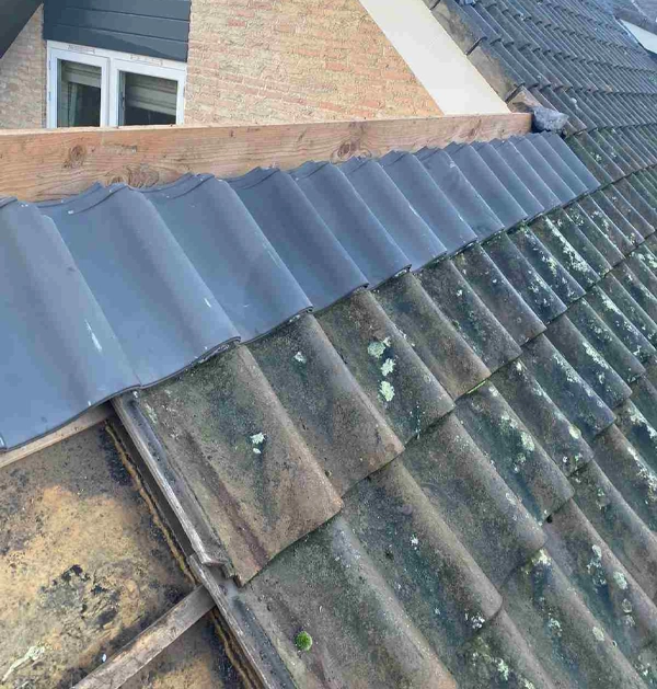 Nokvorsten dakdekking